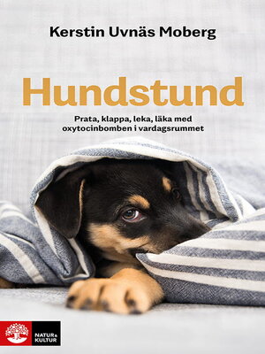 cover image of Hundstund